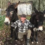 La Ferme Des Lamas Dordogne