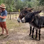 La Ferme Des Lamas Dordogne * Saint-Cyr-Les-Champagnes