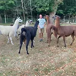 La Ferme Des Lamas Dordogne * Saint-Cyr-Les-Champagnes