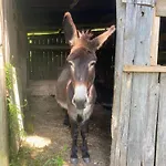 La Ferme Des Lamas Dordogne