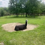 Séjour à la ferme La Ferme Des Lamas Dordogne