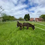 La Ferme Des Lamas Dordogne Saint-Cyr-Les-Champagnes