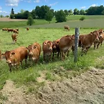 La Ferme Des Lamas Dordogne Séjour à la ferme *