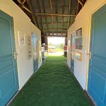 La Ferme Des Lamas Dordogne Séjour à la ferme Saint-Cyr-Les-Champagnes