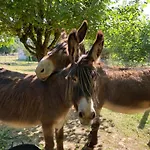 La Ferme Des Lamas Dordogne Saint-Cyr-Les-Champagnes