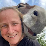 팜스테이 La Ferme Des Lamas Dordogne Saint-Cyr-Les-Champagnes