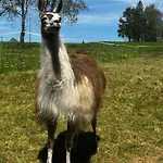 La Ferme Des Lamas Dordogne