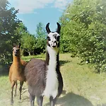 La Ferme Des Lamas Dordogne 팜스테이 *
