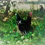 팜스테이 La Ferme Des Lamas Dordogne *