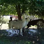 Séjour à la ferme La Ferme Des Lamas Dordogne