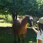 La Ferme Des Lamas Dordogne 팜스테이