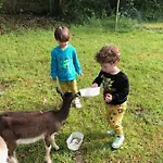 팜스테이 La Ferme Des Lamas Dordogne *