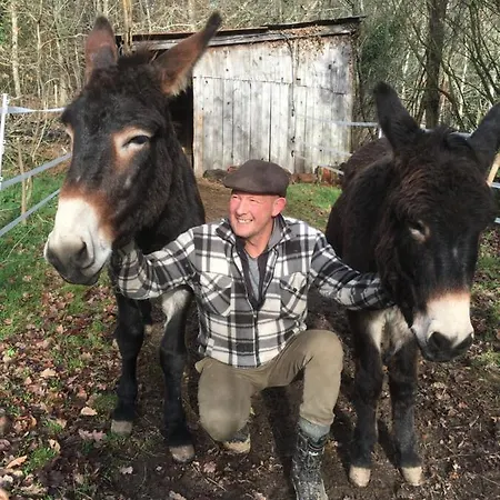 La Ferme Des Lamas Dordogne
