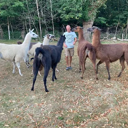 La Ferme Des Lamas Dordogne 5* Saint-Cyr-Les-Champagnes