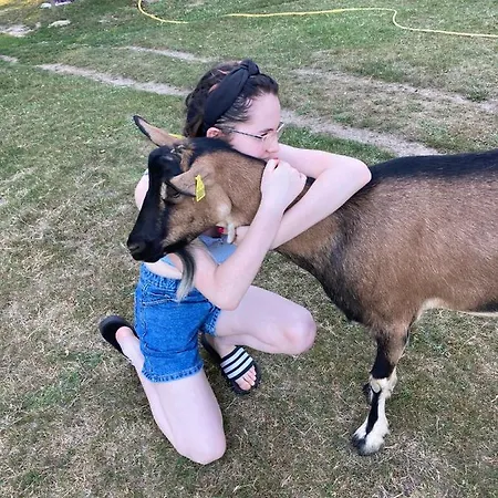 ファームステイ The Llama Farm France Saint-Cyr-les-Champagnes