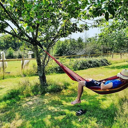 La Ferme Des Lamas Dordogne Campingplatz