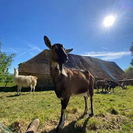 La Ferme Des Lamas Dordogne Campingplatz Saint-Cyr-Les-Champagnes