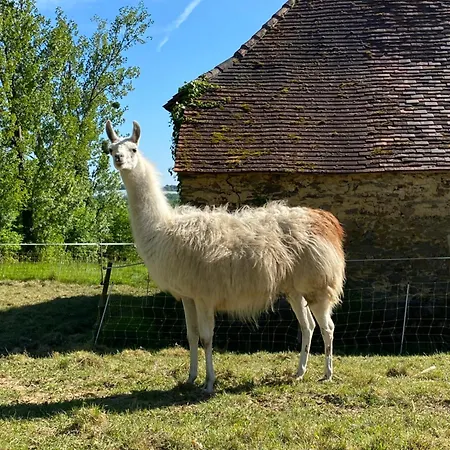 La Ferme Des Lamas Dordogne 5* Saint-Cyr-Les-Champagnes
