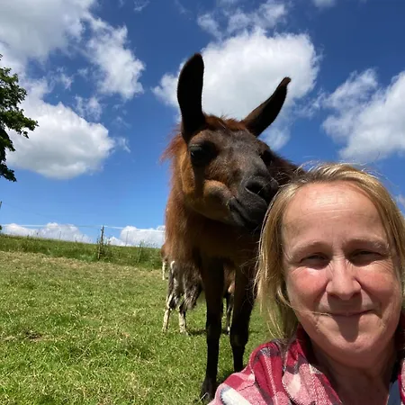 La Ferme Des Lamas Dordogne