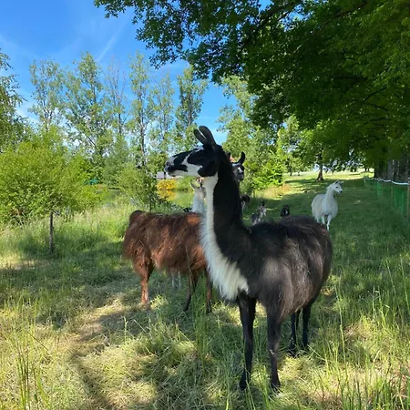 Campingplatz La Ferme Des Lamas Dordogne 5*