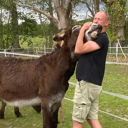 Gospodarstwo agroturystyczne The Llama Farm France Saint-Cyr-Les-Champagnes
