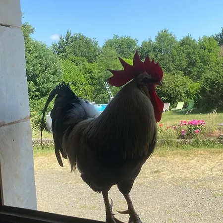 La Ferme Des Lamas Dordogne 5*