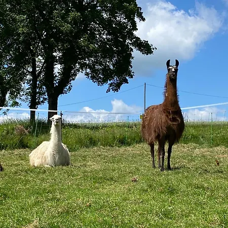 La Ferme Des Lamas Dordogne 5*