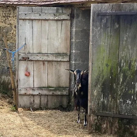Campingplatz La Ferme Des Lamas Dordogne 5*
