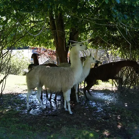 Lantgård La Ferme Des Lamas Dordogne