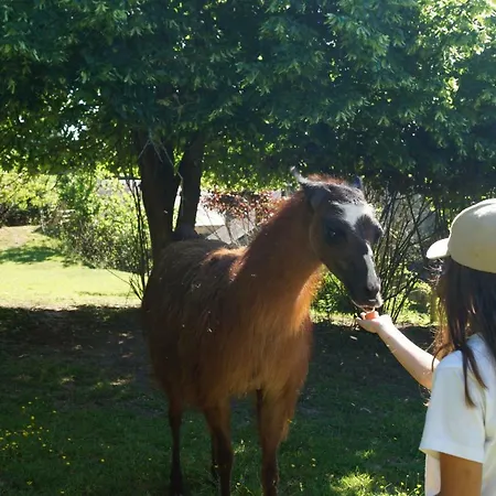 La Ferme Des Lamas Dordogne Campingplatz