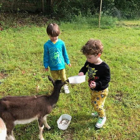 Séjour à la ferme Loire Valley Llama Farm *