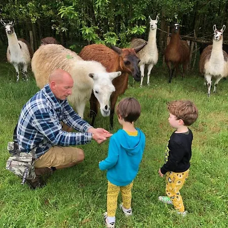 La Ferme Des Lamas Dordogne Campingplatz 5*