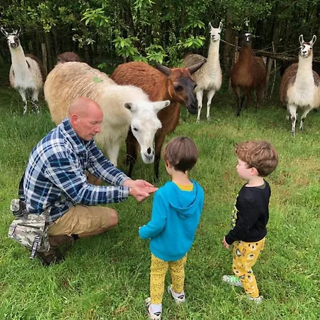 Loire Valley Llama Farm Séjour à la ferme *