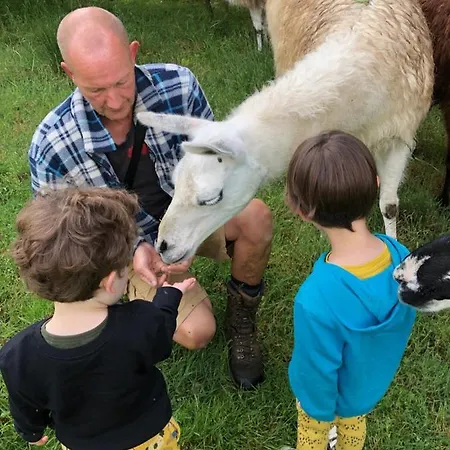 La Ferme Des Lamas Dordogne Campingplatz Saint-Cyr-Les-Champagnes