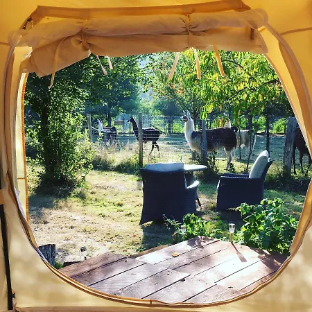 The Llama Farm France ファームステイ