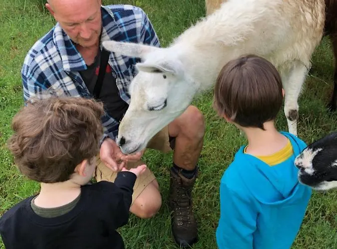La Ferme Des Lamas Dordogne Vakantieboerderij Saint-Cyr-Les-Champagnes